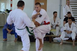 Zawodnicy w trakcie walki karate