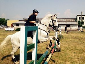XV Turniej Policji Konnej - Częstochowa - policjantka na koniu