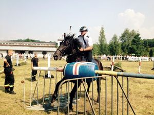 XV Turniej Policji Konnej - Częstochowa - policjant na koniu
