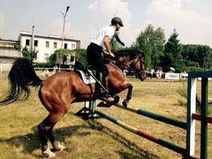 XV Turniej Policji Konnej - Częstochowa - policjant na koniu