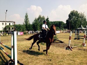 XV Turniej Policji Konnej - Częstochowa - policjantka na koniu