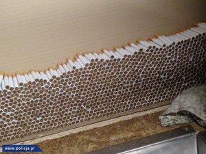 Uderzenie CBŚP w przestępczość tytoniową – 7 fabryk zlikwidowanych