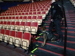 Szkolenie psów policyjnych na terenie Hali Widowiskowo - Sportowej w katowickim Spodku