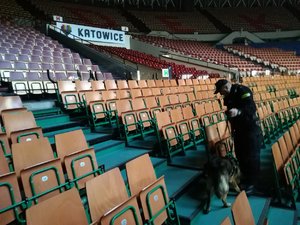 Szkolenie psów policyjnych na terenie Hali Widowiskowo - Sportowej w katowickim Spodku