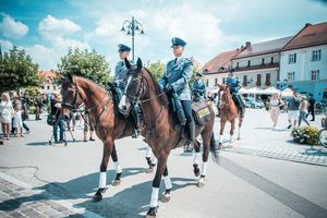 Wojewódzkie obchody Święta Policji 2018