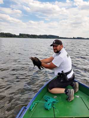 policjant trzyma wyciągnięte z jeziora zwierzę