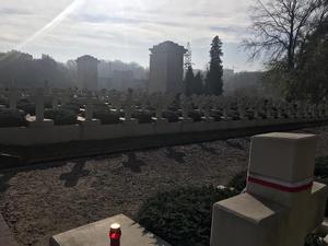 Cmentarz Łyczakowski. Widok nagrobków