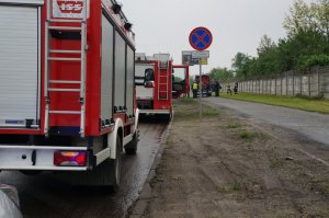 Pojazdy straży pożarnej zaparkowane przy pasie zieleni