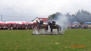 policjanci na koniach pokonują płonącą przeszkodę