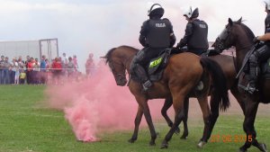 policjanci na koniach pokonują dymną przeszkodę