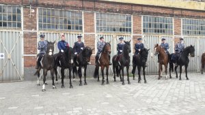 Policjanci z Zespołu konnego na szkoleniu w Budapeszcie.