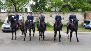 Policjanci z Zespołu konnego na szkoleniu w Budapeszcie.