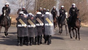 ćwiczenia chorzowskich i częstochowskich jeźdźców i koni wspólnie z chorzowskim pododdziałem policyjnym