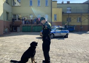 policjant z psem policyjnym w tle radiowóz i budynek