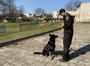 policjant z psem policyjnym