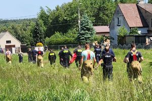 Zdjęcie przedstawia policjantów i strażaków biorących udział w poszukiwaniach, którzy idą polami.
