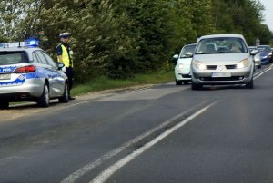 Fotografia kolorowa. Na zdjęciu widoczny policjant stojący przy drodze obok radiowozu.