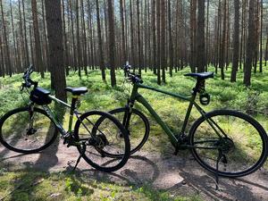 Zdjęcie przedstawia: dwa rowery w lesie.