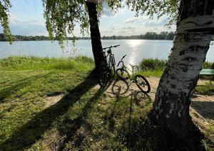 Zdjęcie przedstawia: dwa rowery, z tyłu widoczny zbiornik wodny.