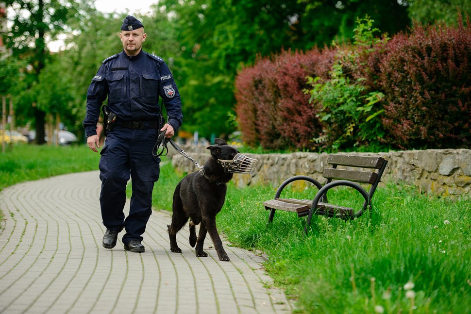 Na zdjęciu widoczny przewodnik, który spaceruje z psem służbowym.