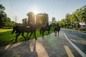 Na obrazku widoczni policjanci na koniach, idą przez chodnik pod słońce
