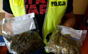 Na zdjęciu widoczne dwa worki strunowe z marihuana oraz napis &quot;Policja&quot; z kamizelki odblaskowej nieumundurowanego funkcjonariusza.