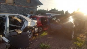 Zdjęcie kolorowe: ujawnione w &quot;dziupli&quot; części samochodowe pochodzące ze skradzionych samochodów