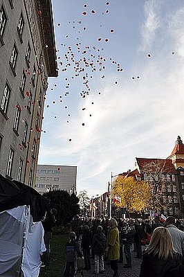 Stopklatka z filmu