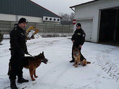 Stopklatka z filmu