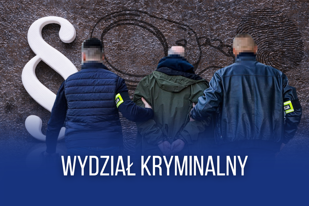 grafika przedstawia nieumundurowanych policjantów z zatrzymanym mężczyzną na tle koloru brązowego z widocznym znakiem paragrafu, kajdankami i odciskami palców