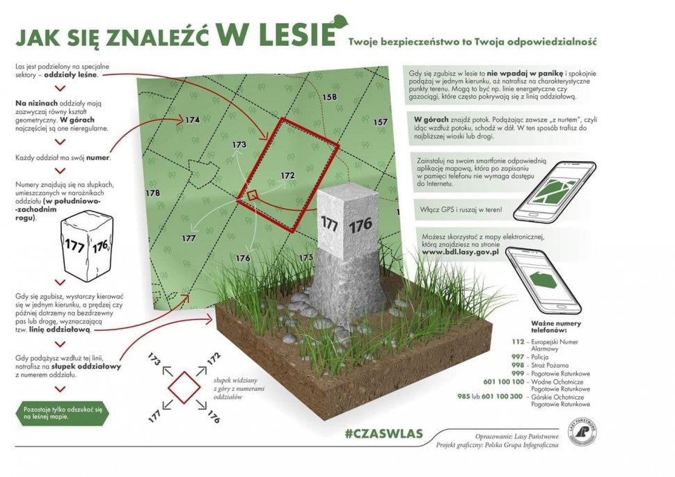 grafika z poradami jak odnaleźć się w lesie
