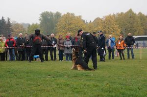 Śląscy policjanci na „Dniu Seniora&quot;.