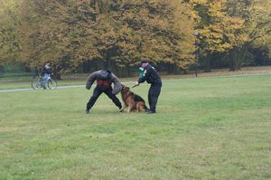 Śląscy policjanci na „Dniu Seniora&quot;.