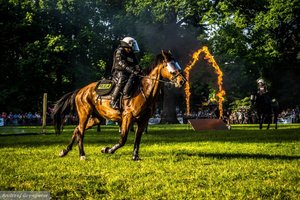 Policyjni jeźdźcy na majówce w Pszczynie