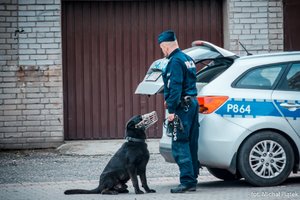 policjant z psem służbowym oraz radiowóz oznakowany