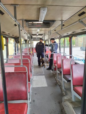 Pies policyjny wraz z przewodnikiem w trakcie zawodów