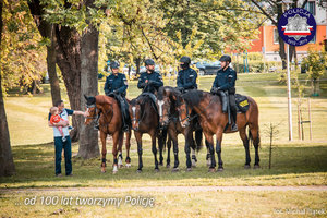 Zespół Policji Konnej podczas patrolu, przechodzień głaszcze konia
