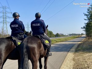 policjanci na koniach w trakcie patrolu