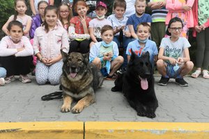 Zdjęcie kolorowe. Widoczne dzieci uczestniczące w spotkaniu wraz z opiekunami, a także policjanci i dwa psy policyjne podczas pamiątkowego zdjęcia