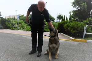 Zdjęcie kolorowe. Briefing prasowy przed komendą wojewódzką policji, widoczny policjant przewodnik psa wraz z psem służbowym