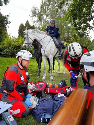 Zdjęcie kolorowe. Widoczni ratownicy w terenie podczas konkurencji udzielnaia pierwszej pomocy oraz koń wraz z policyjnym jeźdźcem