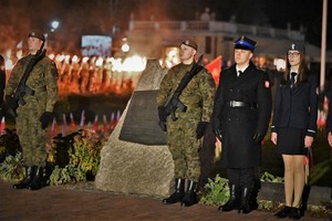 Na zdjęciu pomnik oraz honorowa warta.