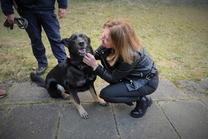 Zdjęcia. Gość oraz policyjny pies służbowy