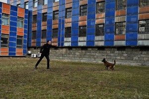 zdjęcie przedstawia mężczyznę, rzucającego piłkę psu