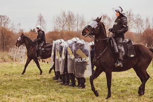 policjanci na koniach podczas szkolenia w terenie
