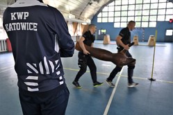 Policjanci na torze przeszkód
