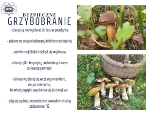 Plakat ze zdjęciami lasu i grzybów oraz podstawowymi poradami dla grzybiarzy.