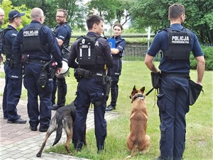 Przewodnicy policyjnych psów z psami oraz inni policjanci stoją na trawie.