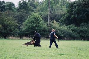 Pozorant ubrany w specjalny kombinezon, policjant i pies w trakcie ćwiczeń.