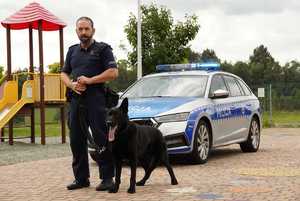 Przewodnik psa policyjnego ze swoim czworonogiem na tle radiowozu